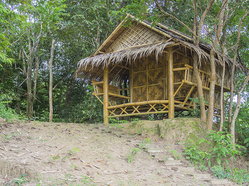 Wichai's Jungle Homestay in Thailand, Suratthani